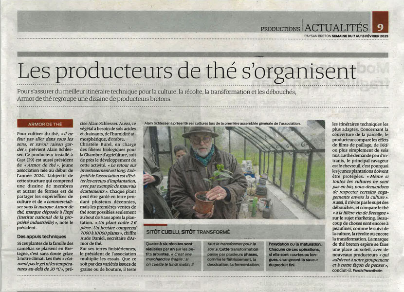 Article Paysan Breton