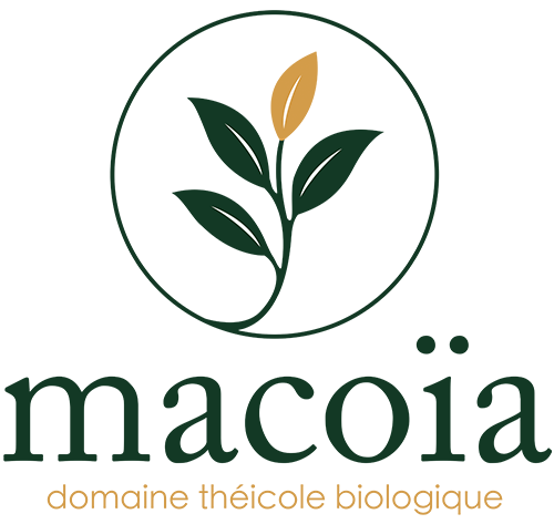 Macoia
