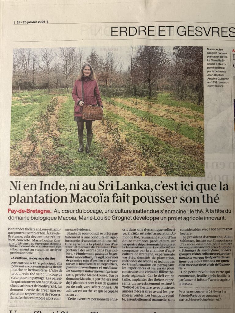 AG Armor de Thé 2026 Article Ouest France