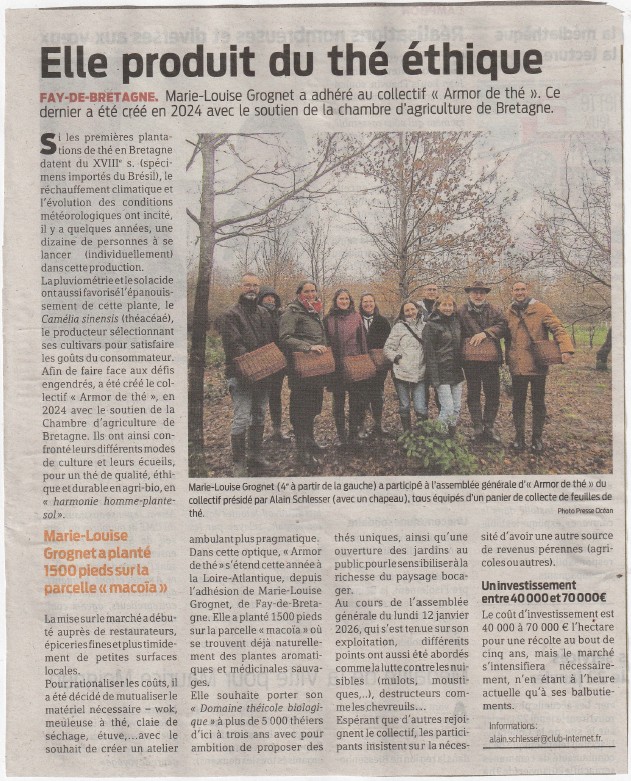 AG Armor de Thé 2026 Article Presse ocean